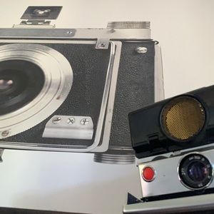 Meet your Posher, Lioness